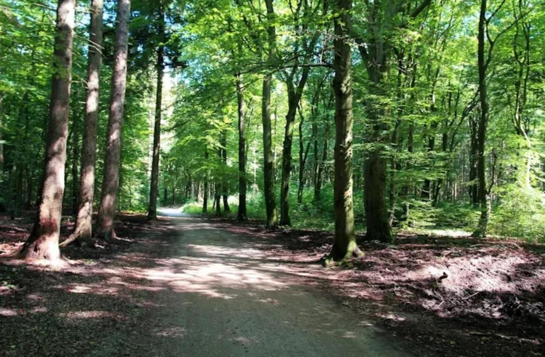 Chalet Harmony Prive Wellness Putten Eksteriør billede