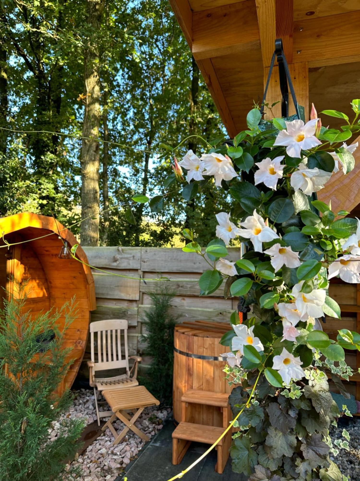 Chalet Harmony Prive Wellness Putten Eksteriør billede